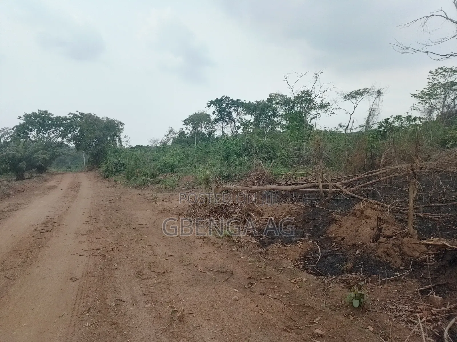 Acres of Farmland for Sale at Agoro via Ashipa Siun Ogun St