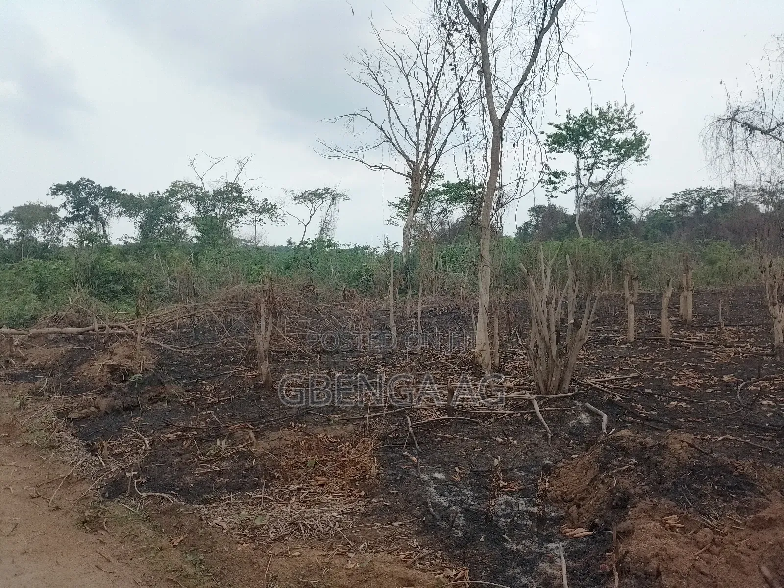 Acres of Farmland for Sale at Agoro via Ashipa Siun Ogun St