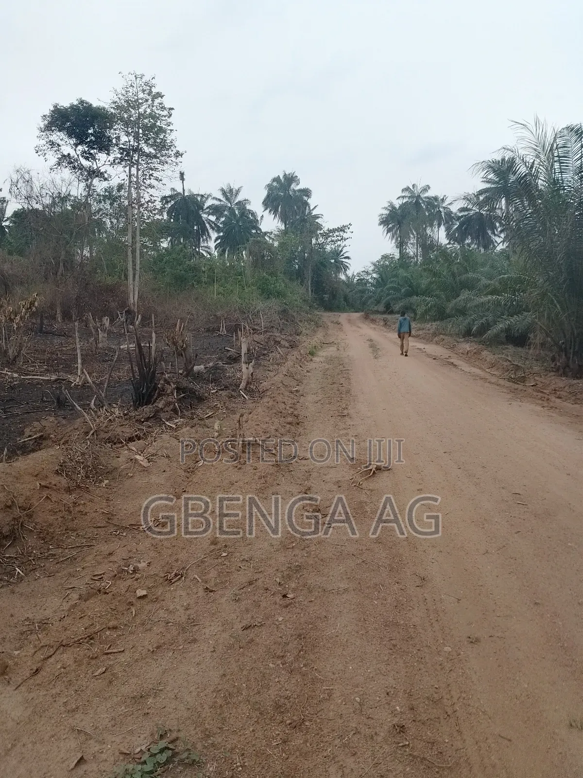 Acres of Farmland for Sale at Agoro via Ashipa Siun Ogun St