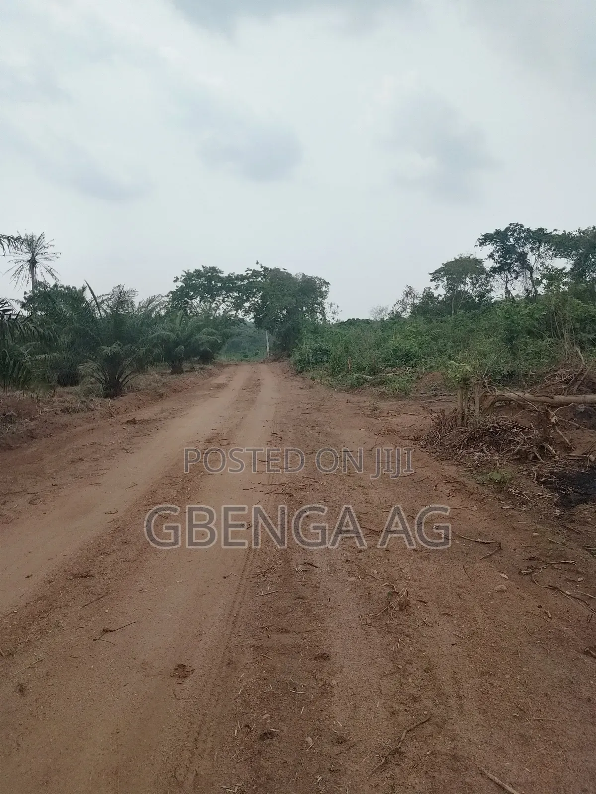 Acres of Farmland for Sale at Agoro via Ashipa Siun Ogun St