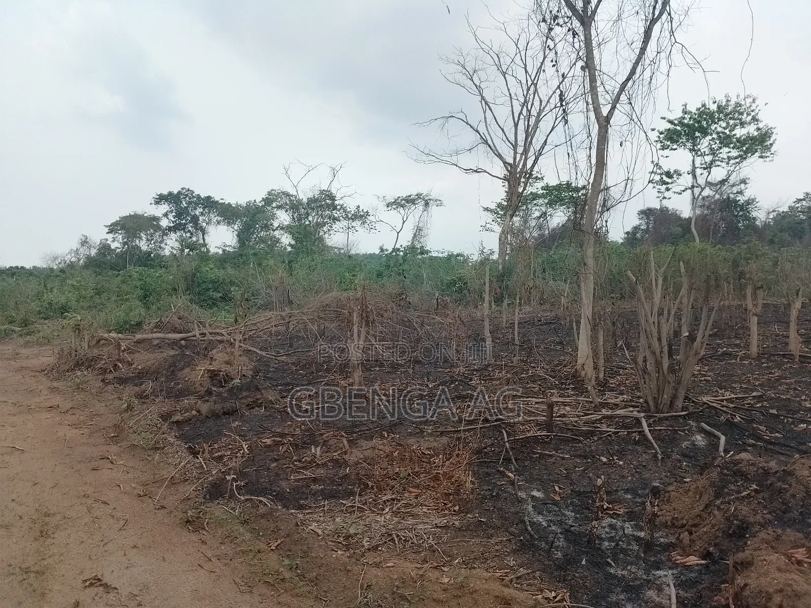Acres of Farmland for Sale at Agoro via Ashipa Siun Ogun St