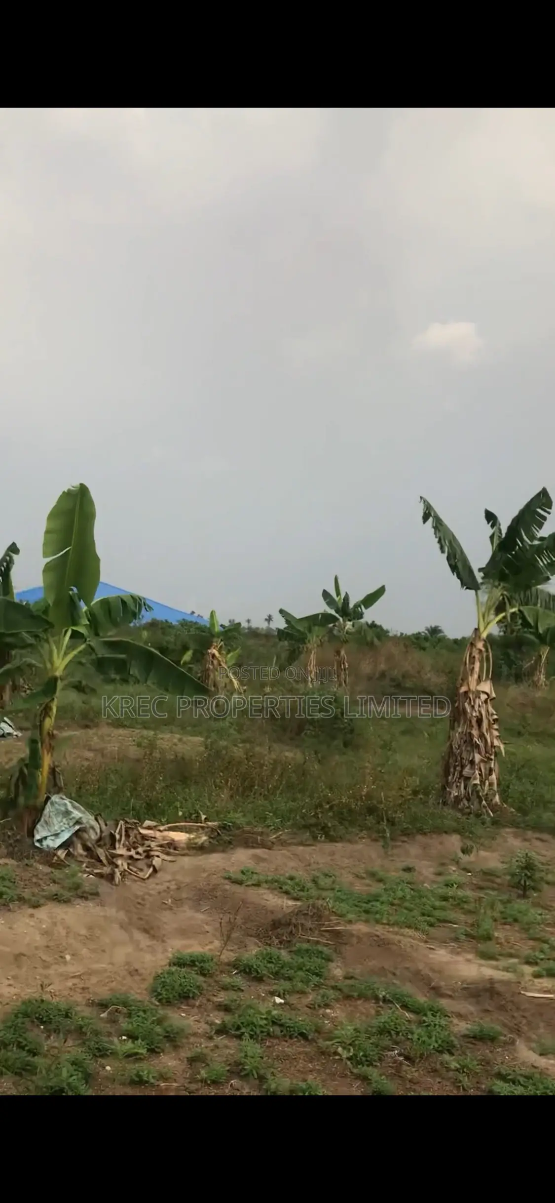 Obiri-Ikwere Express