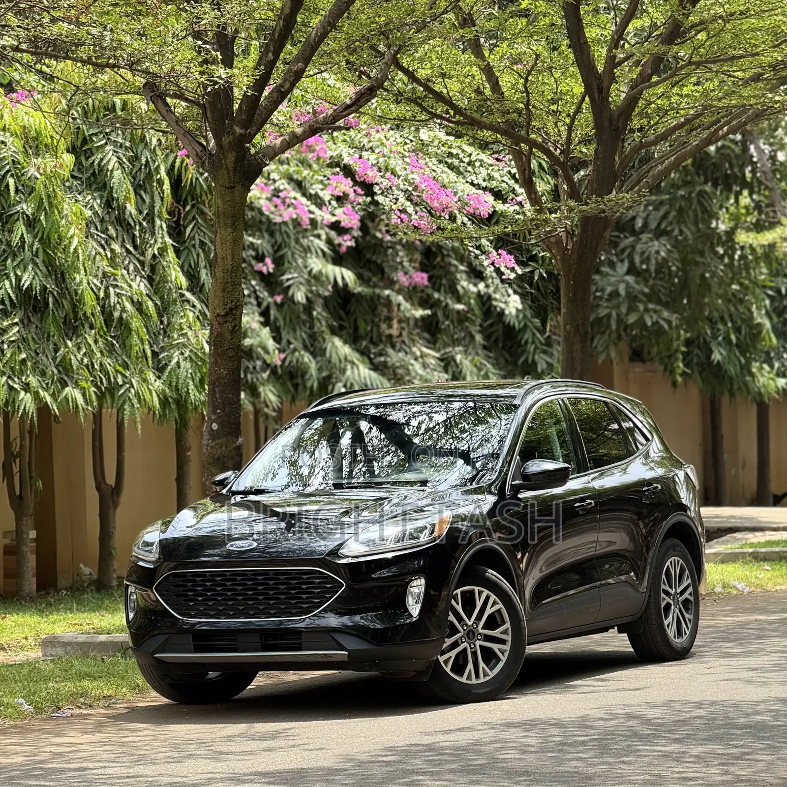 Ford Escape ST-Line Elite 2023 Black
