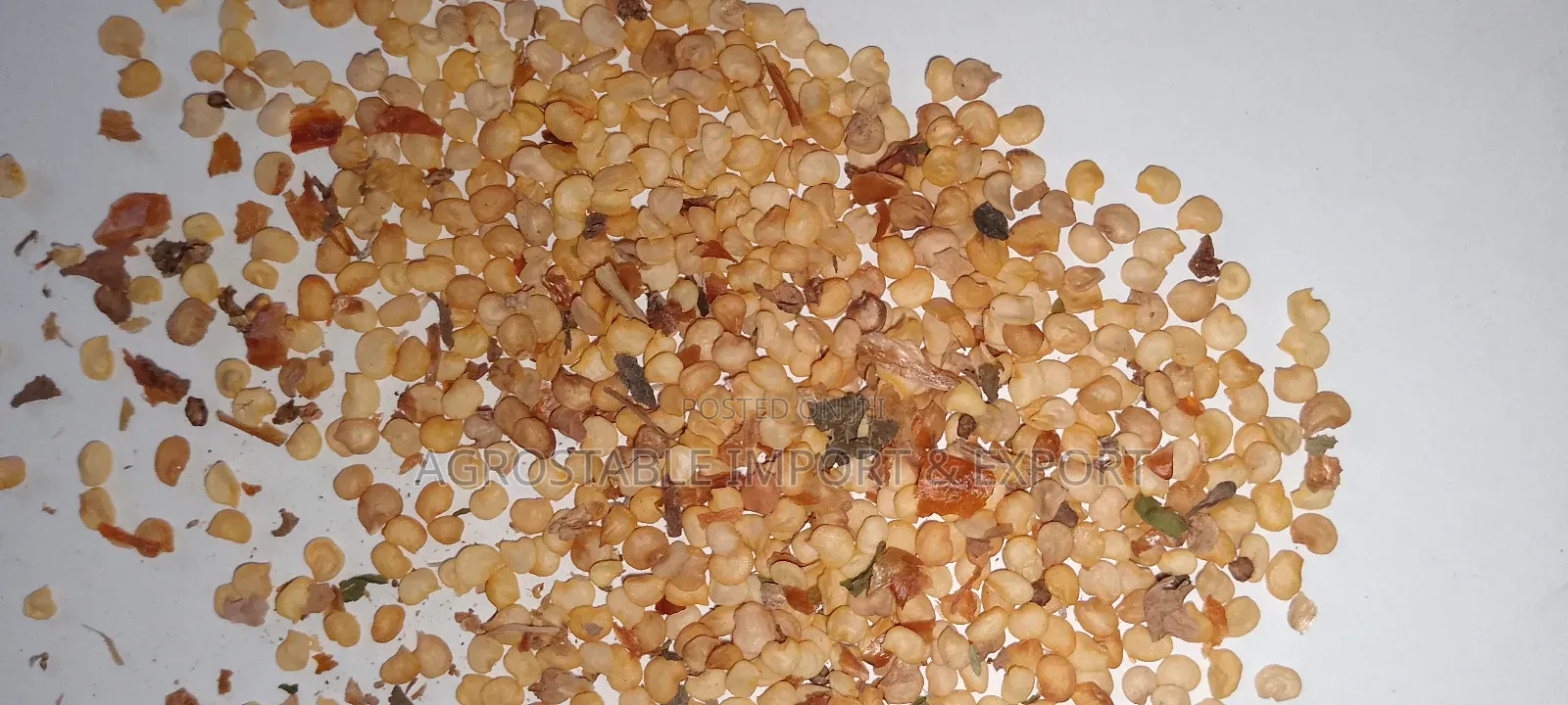 Bell Pepper Seeds