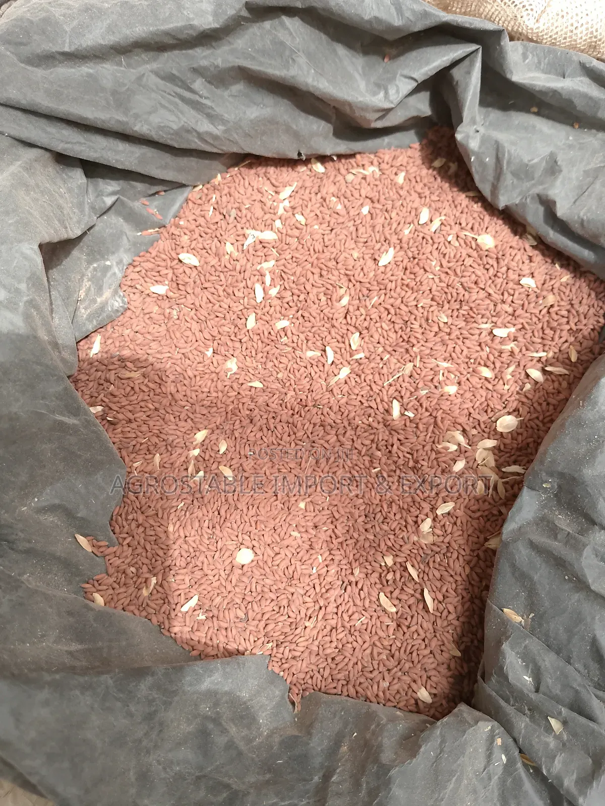 Garden Cress Seeds