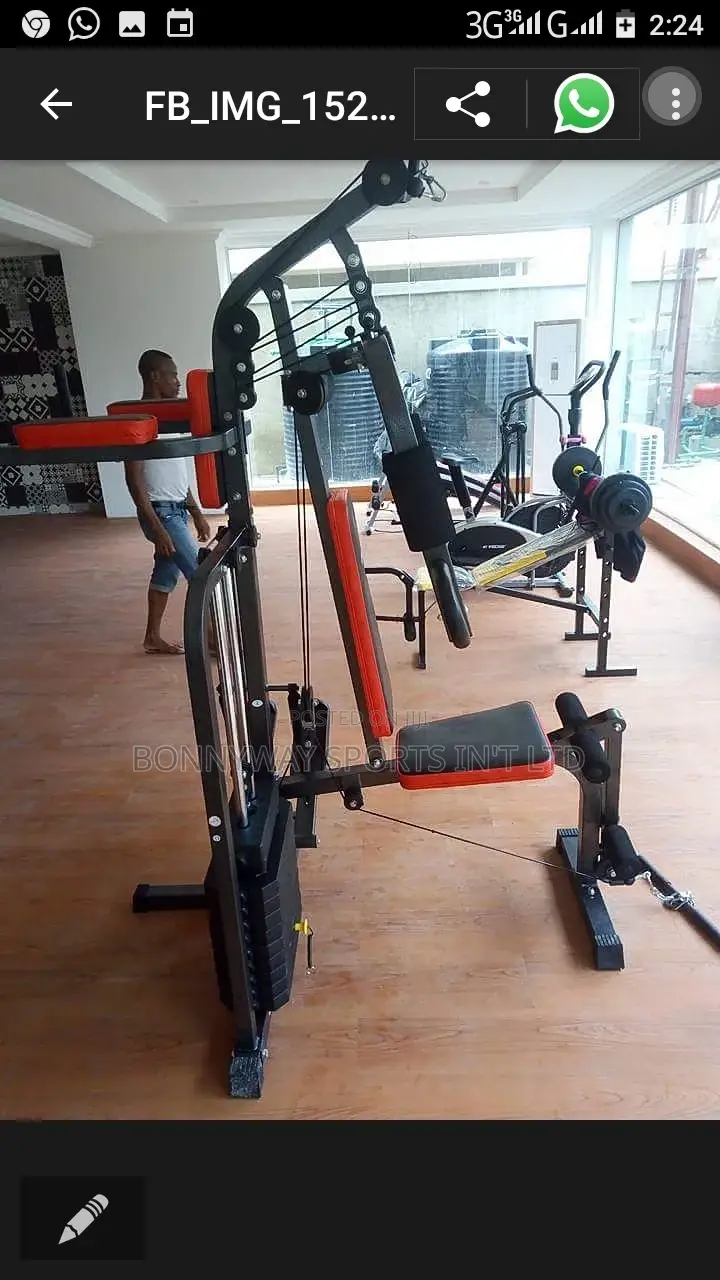 3 Station Home Gym With Stepping Machine