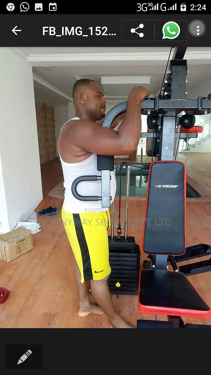 3 Station Home Gym With Stepping Machine