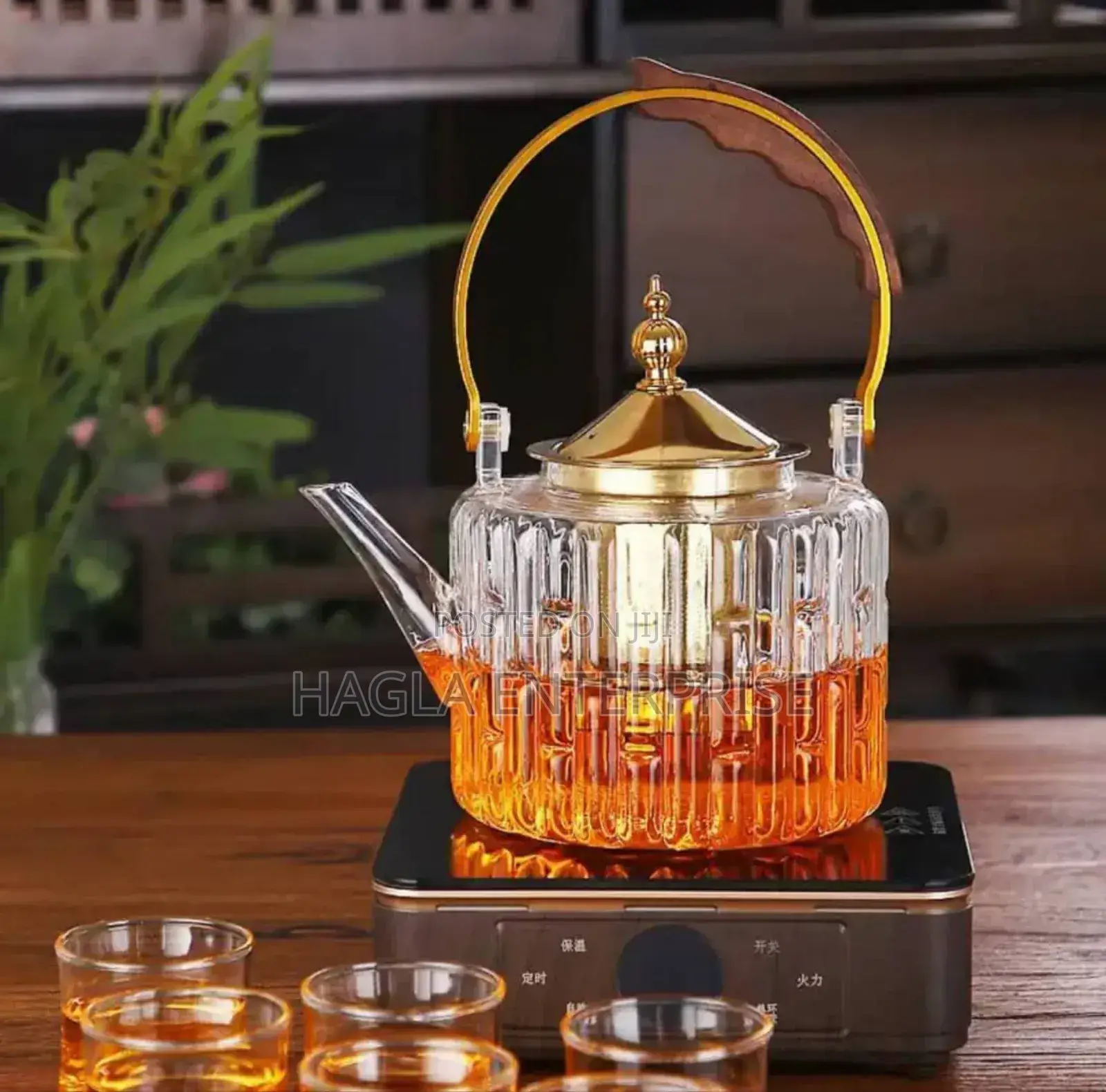 Portable Glass Kettle