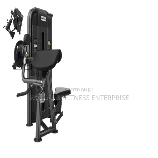 Camber Curl & Triceps
