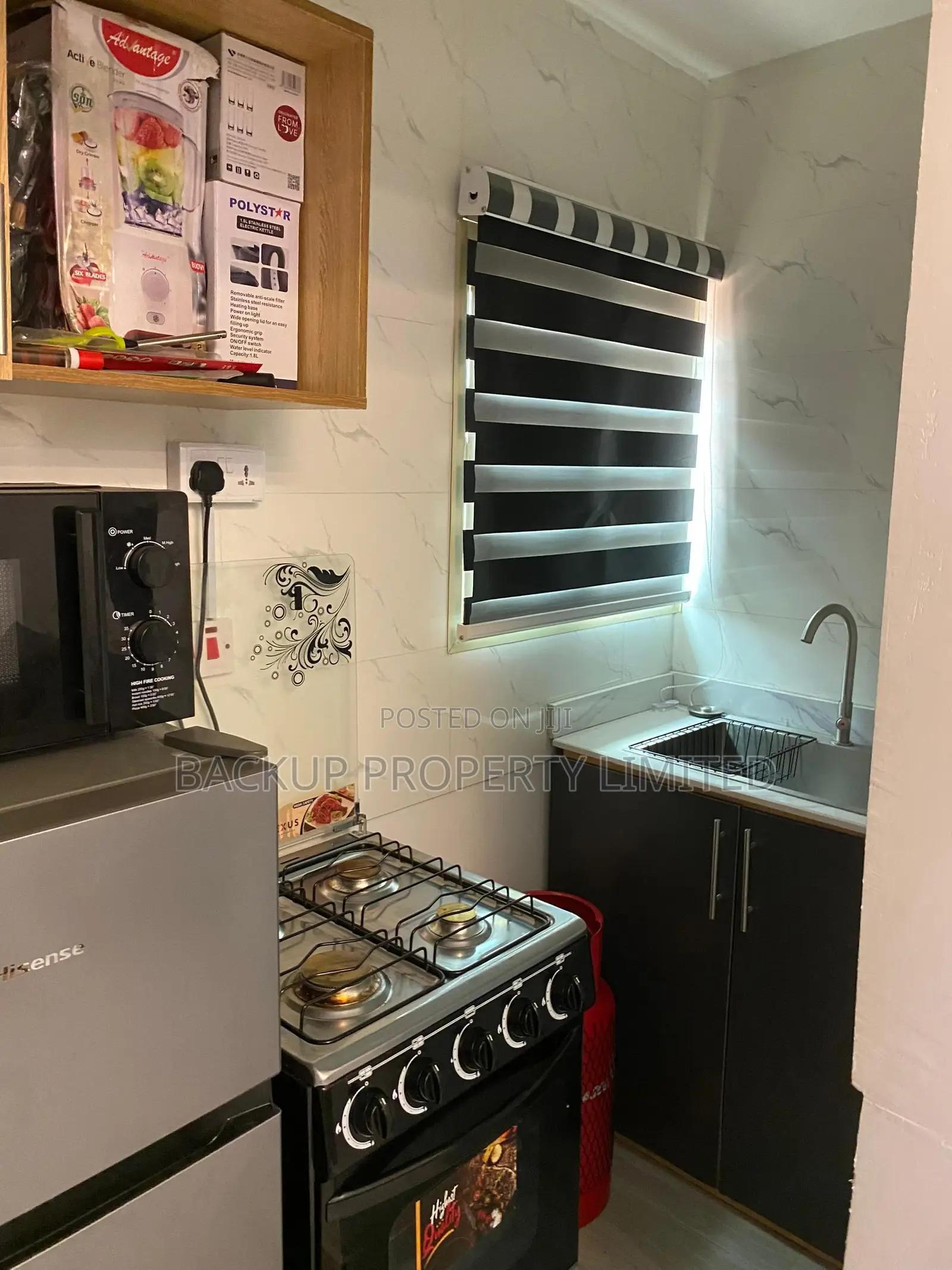 Spacious Furnished Apartment at Akoka