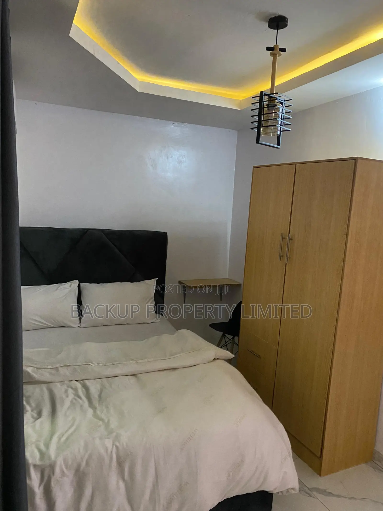 Spacious Furnished Apartment at Akoka