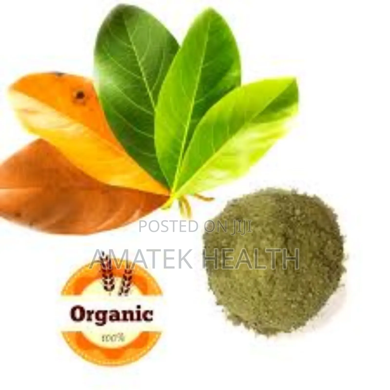 Jack Leaf Powder Benefits At Amatek