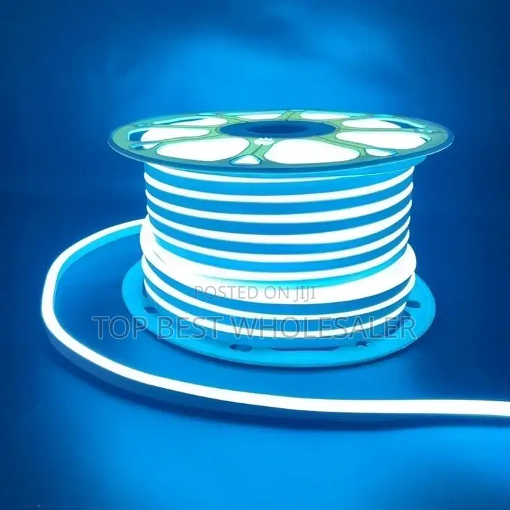 Neon Rop Light Roll