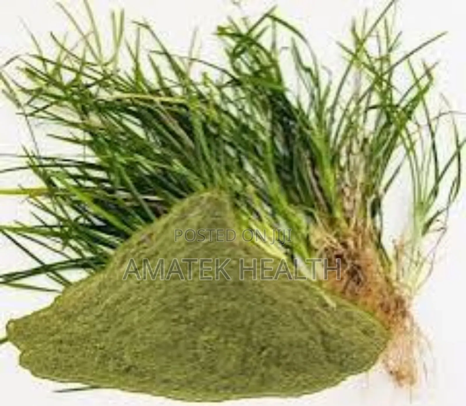 Paragis Herbal at Amatek