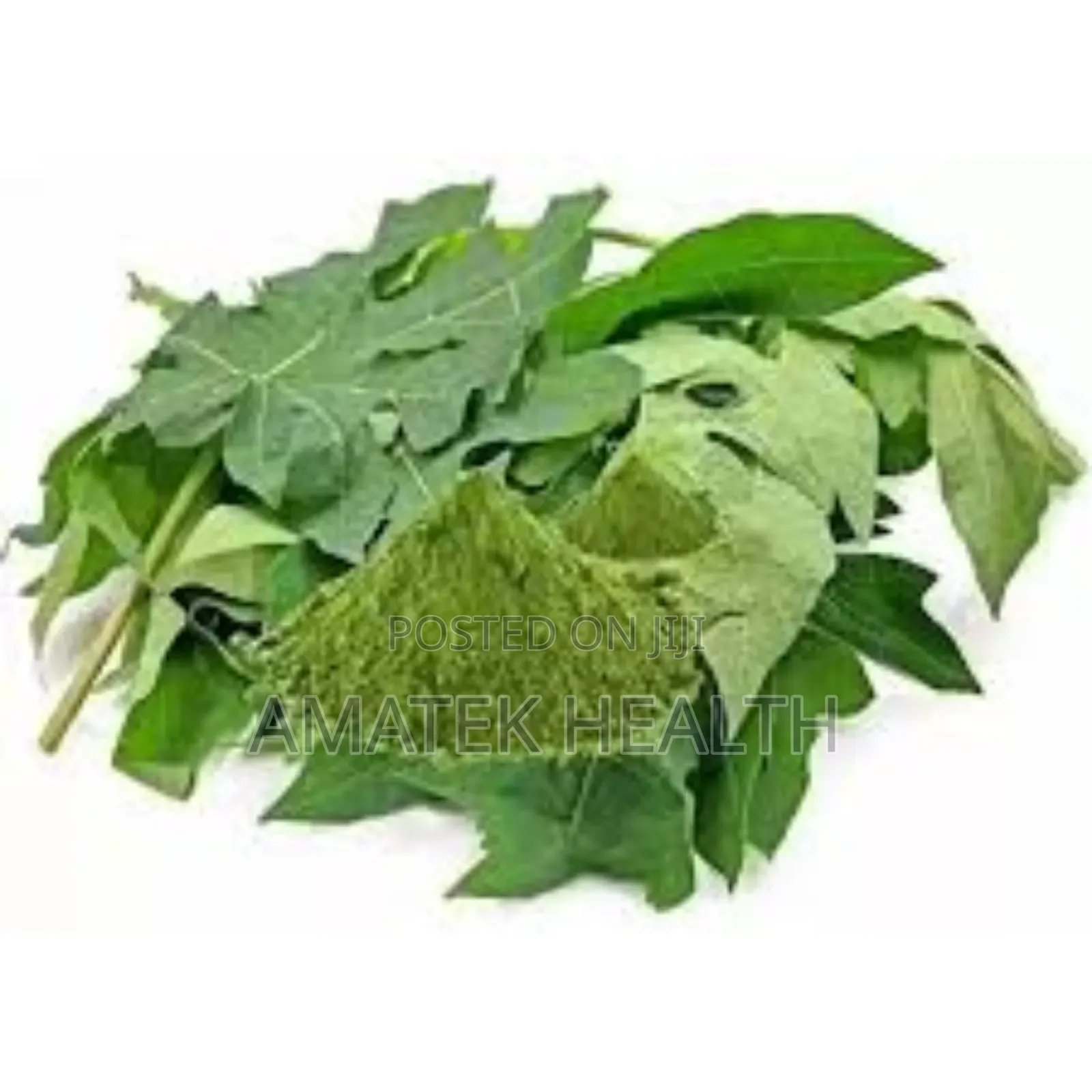 The Health Benefits of Pawpaw Leaf at Amatek