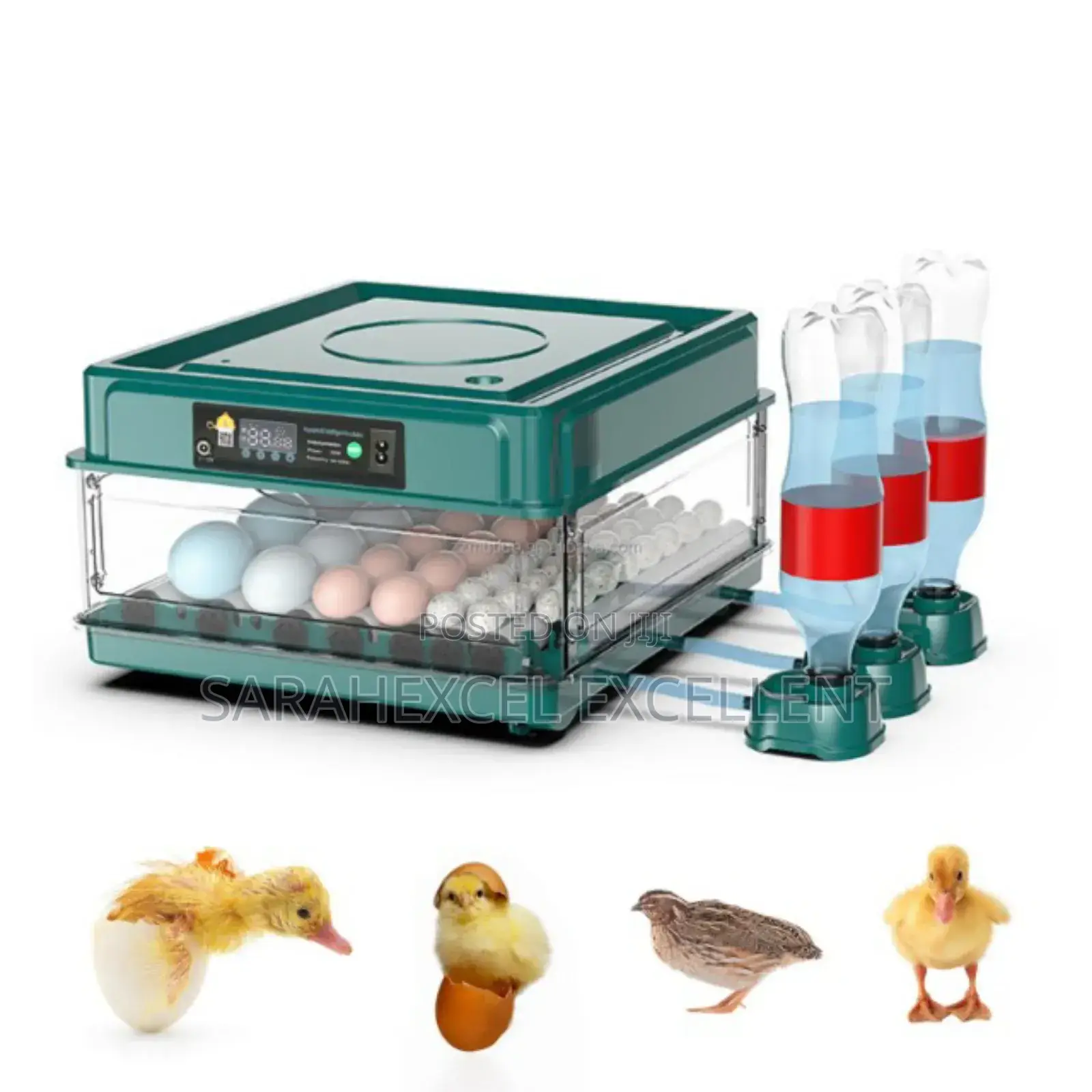 30 Eggs Incubator