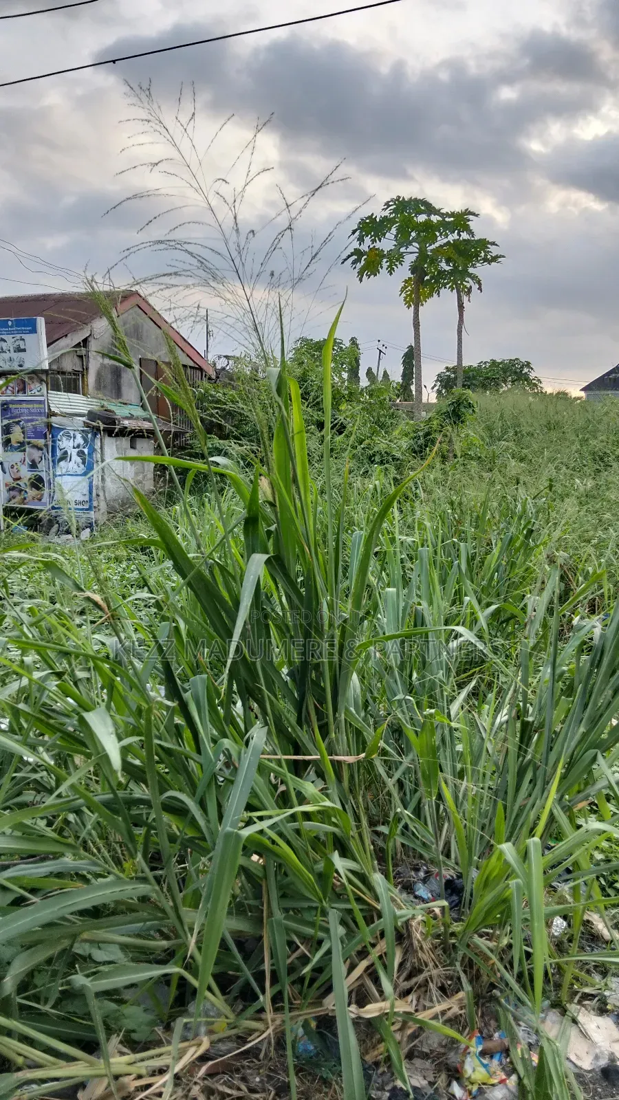 For Sale : 2 Plots Near Dominion City Church , Nta Rd ,Ph
