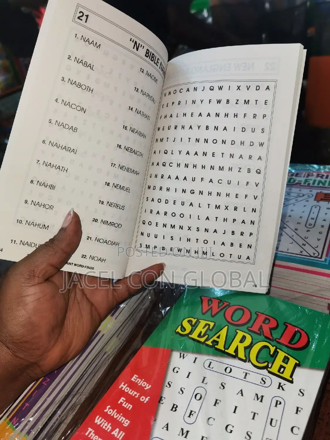Puzzle Books or Word Search Books