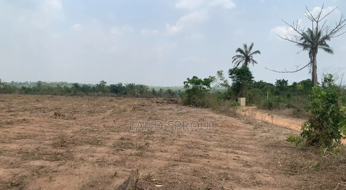 Affordable Land for Land Banking for Sale at Idi-Ayunre, Ibadan