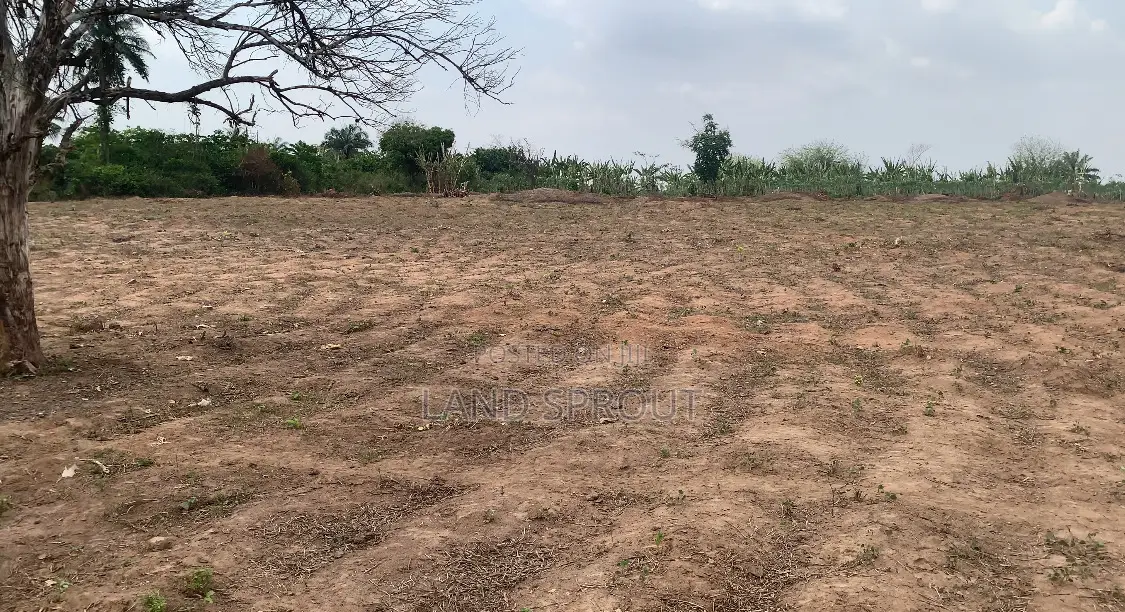 Affordable Land for Land Banking for Sale at Idi-Ayunre, Ibadan