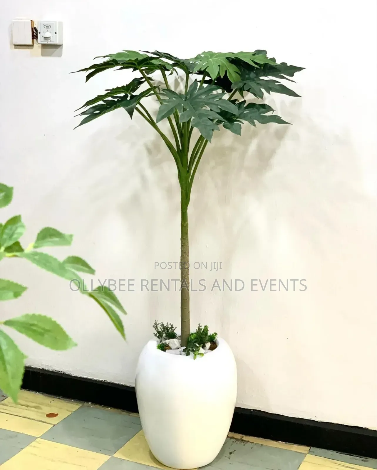 Fiberglass Flower Pots Available for Sale