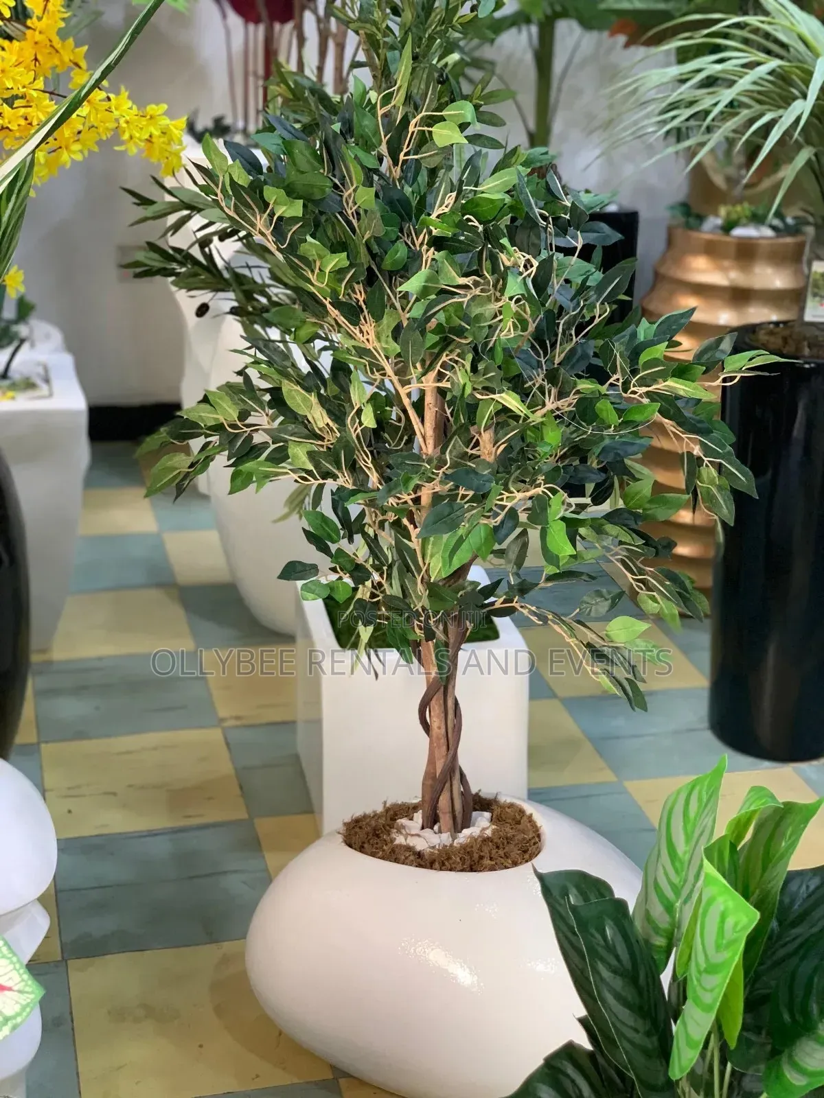 Fiberglass Flower Pots Available for Sale
