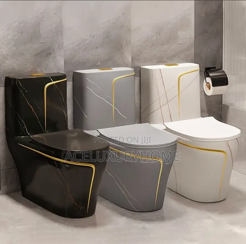 Grey Color Luxury Water Closet