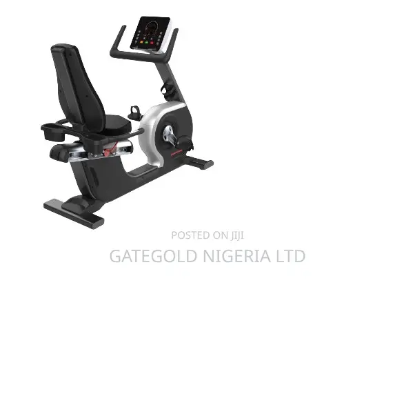 A5100 Recumbent Bike (Dhz Brand)