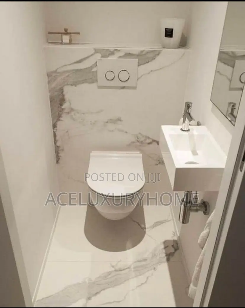 Wall Hung Water Closet