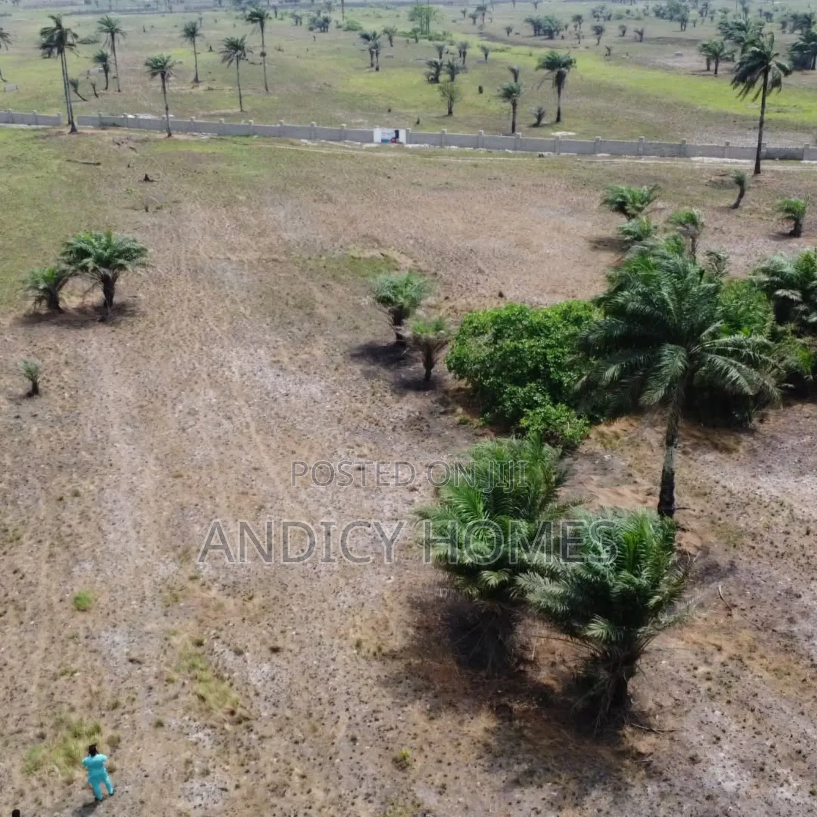 Affordable Cofo Land at Ode Omi for Sale