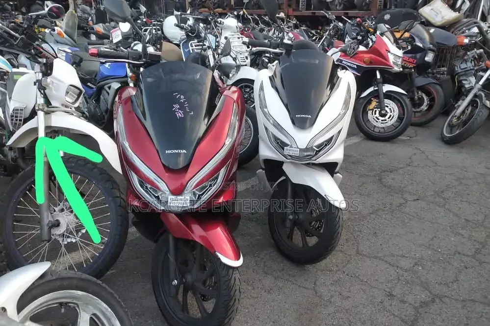 Honda 2022 White