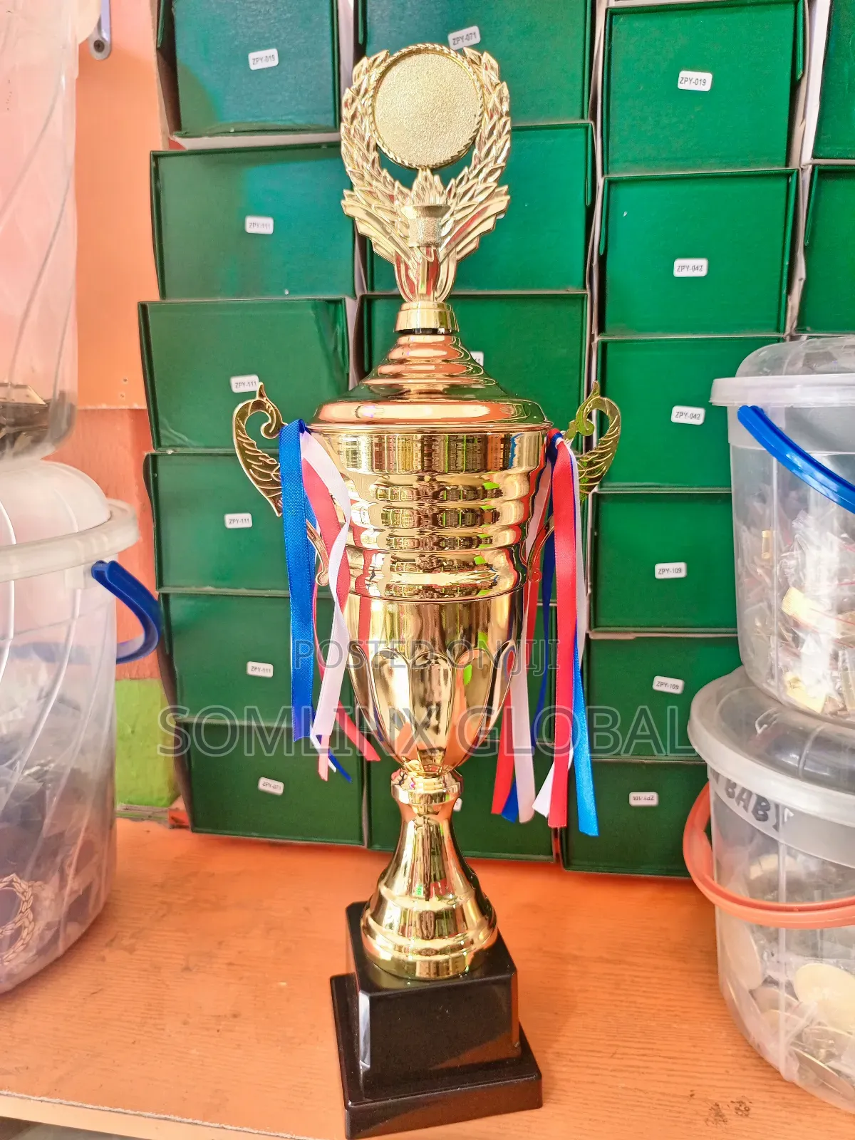 Trophy Cup, With Printable Medallion