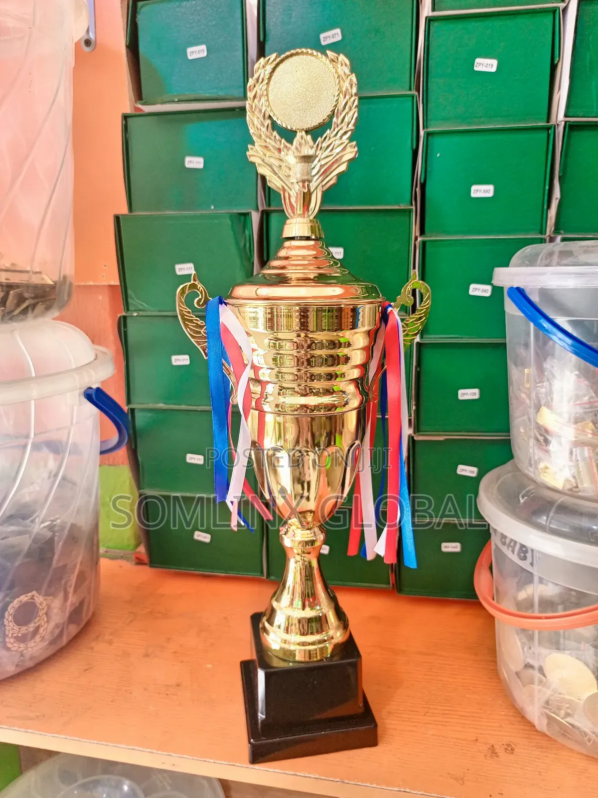Trophy Cup, With Printable Medallion