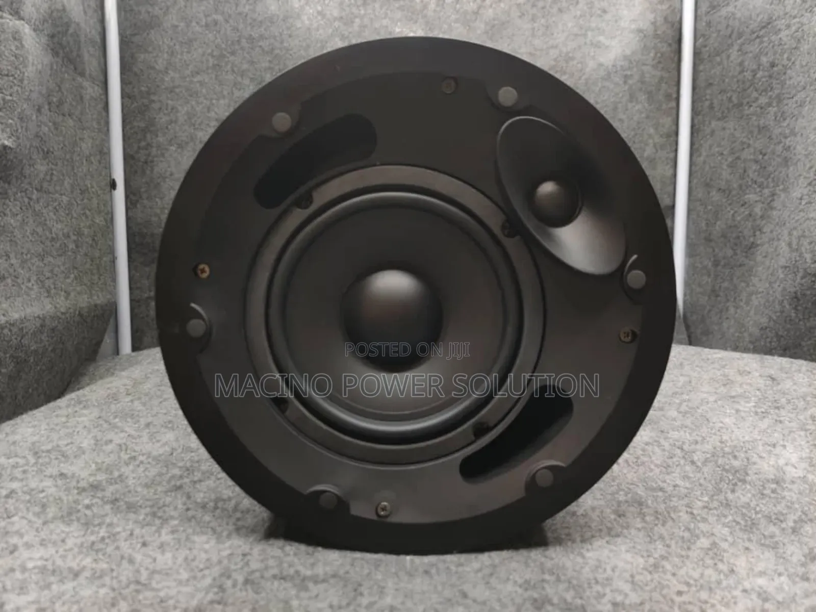 Ordinary 30watts Ceiling Speaker