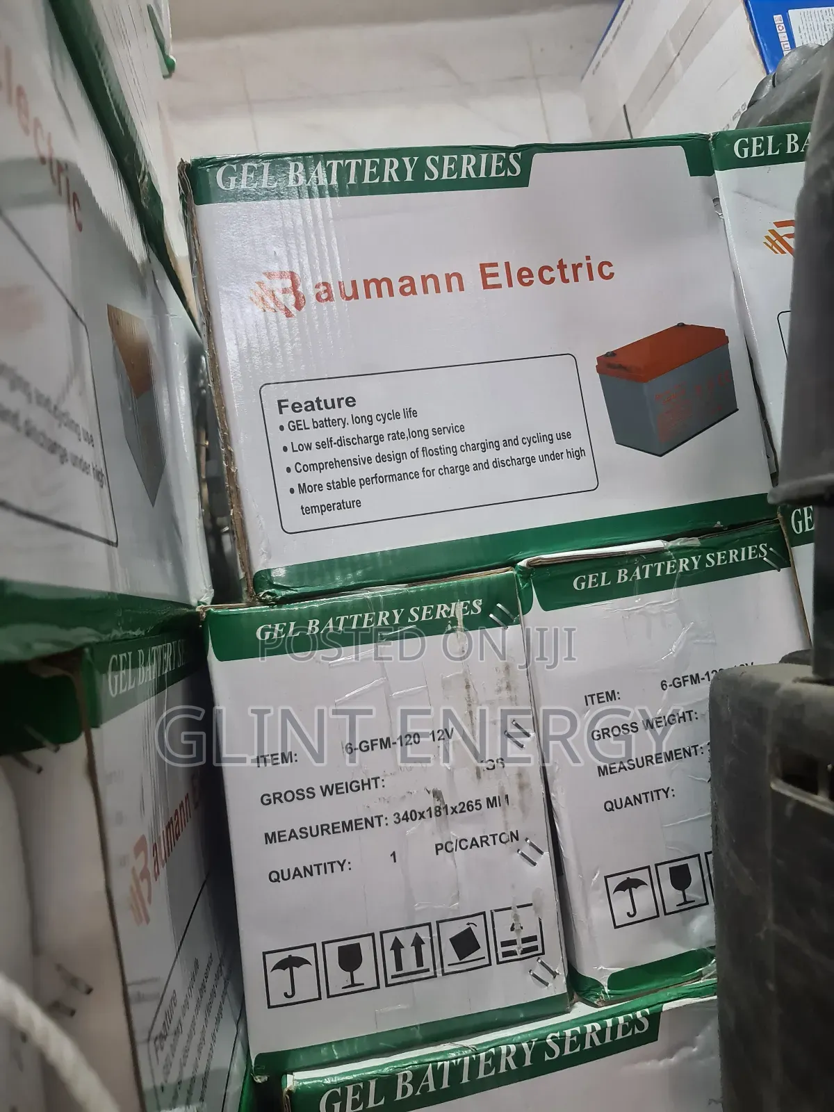 100ah 12v Baumann Eletric Gel Battery