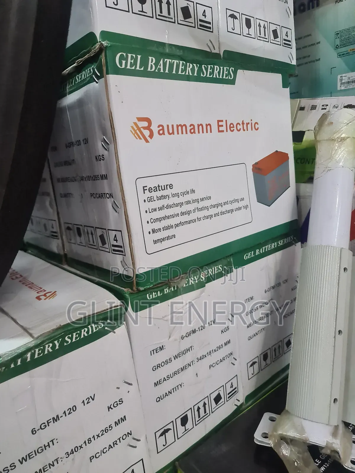 100ah 12v Baumann Eletric Gel Battery