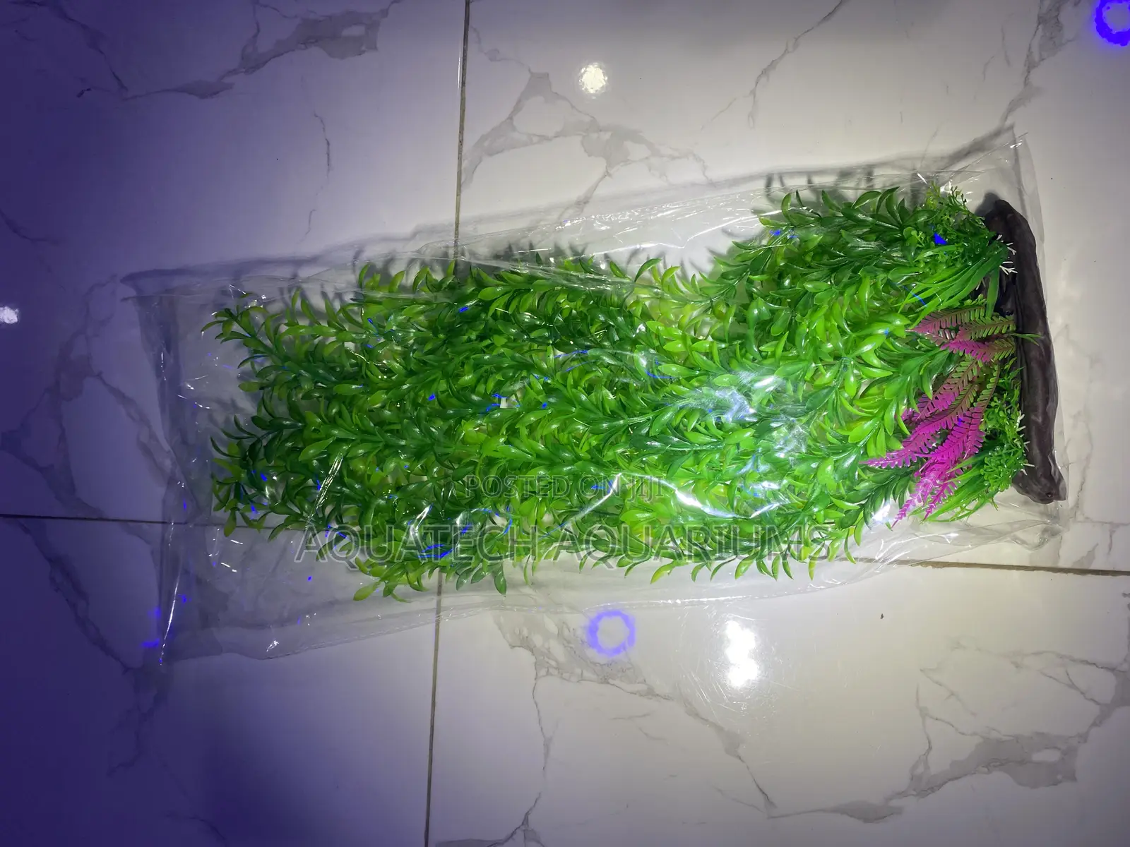Long Plant for Aquarium 50cm