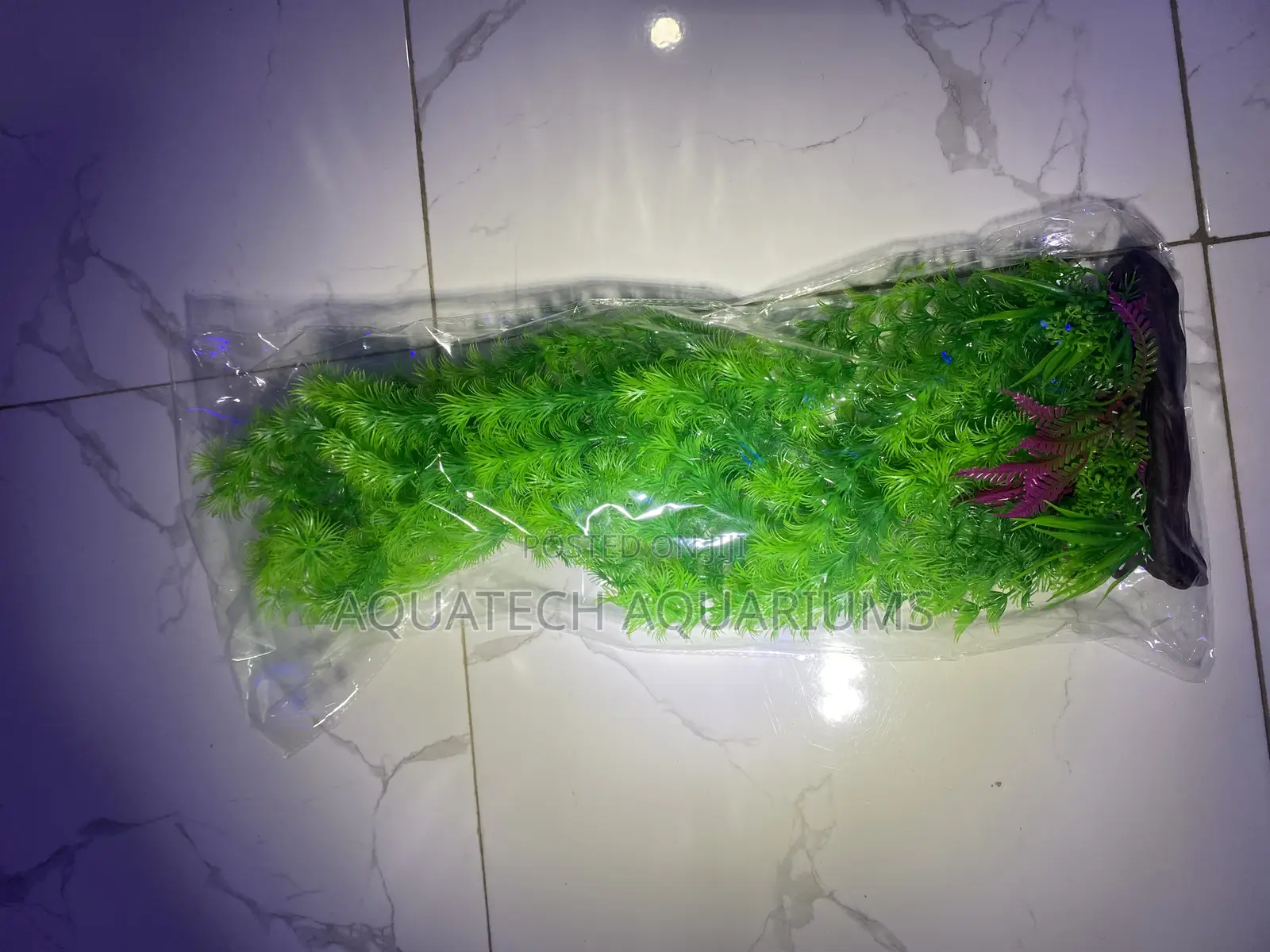 Long Plant for Aquarium 50cm