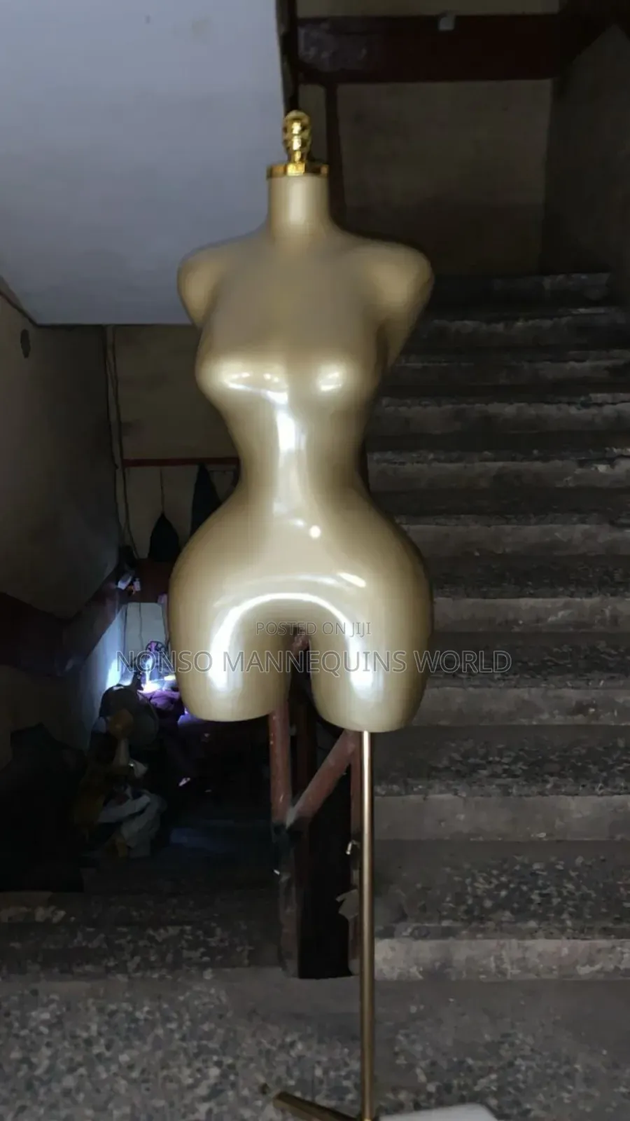 New Trending Bbl Body Form