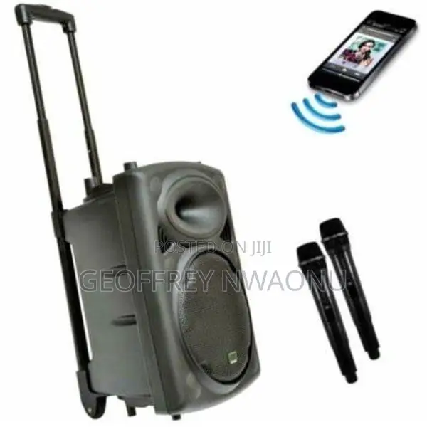 Rent Pa System || Public Address System With 2 Wireless Mics