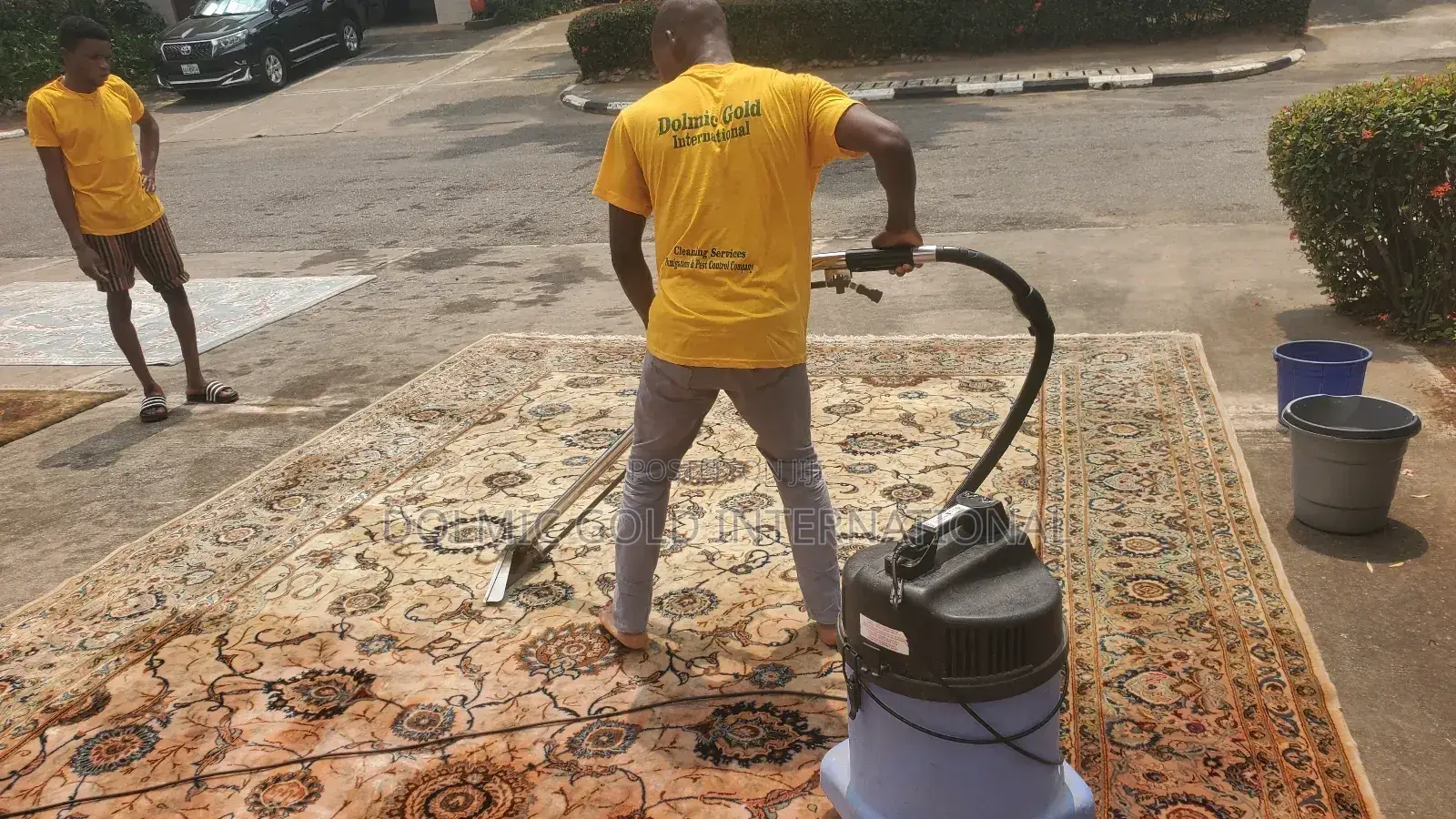 Mobile Carpet Cleaning Services