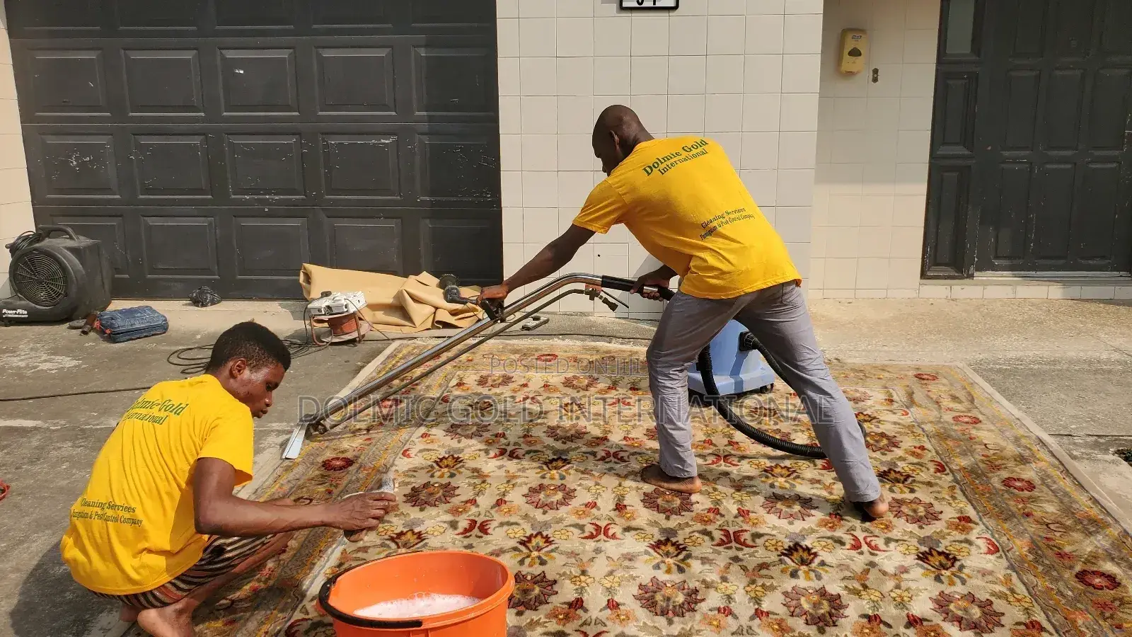 Professional Carpet and Furniture Cleaning Services
