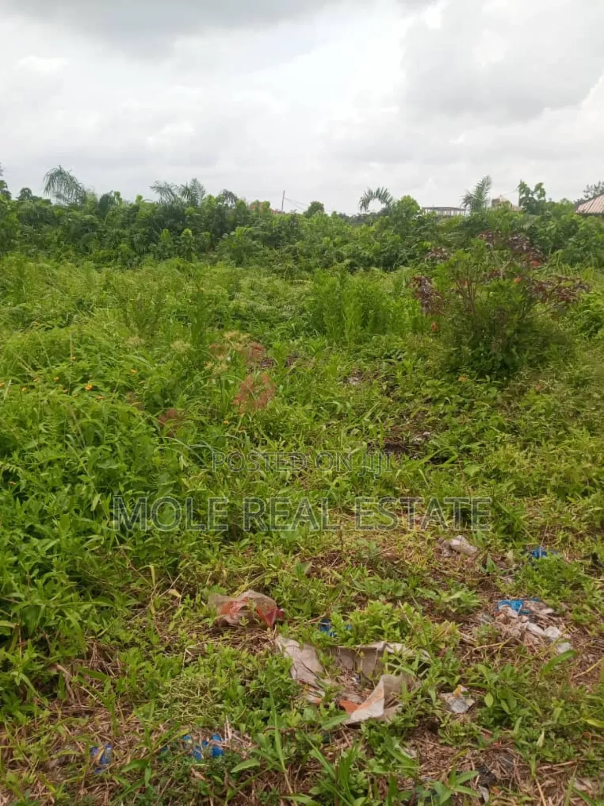 165sqm Ijegun Batist Bustop Festac Link New Rd
