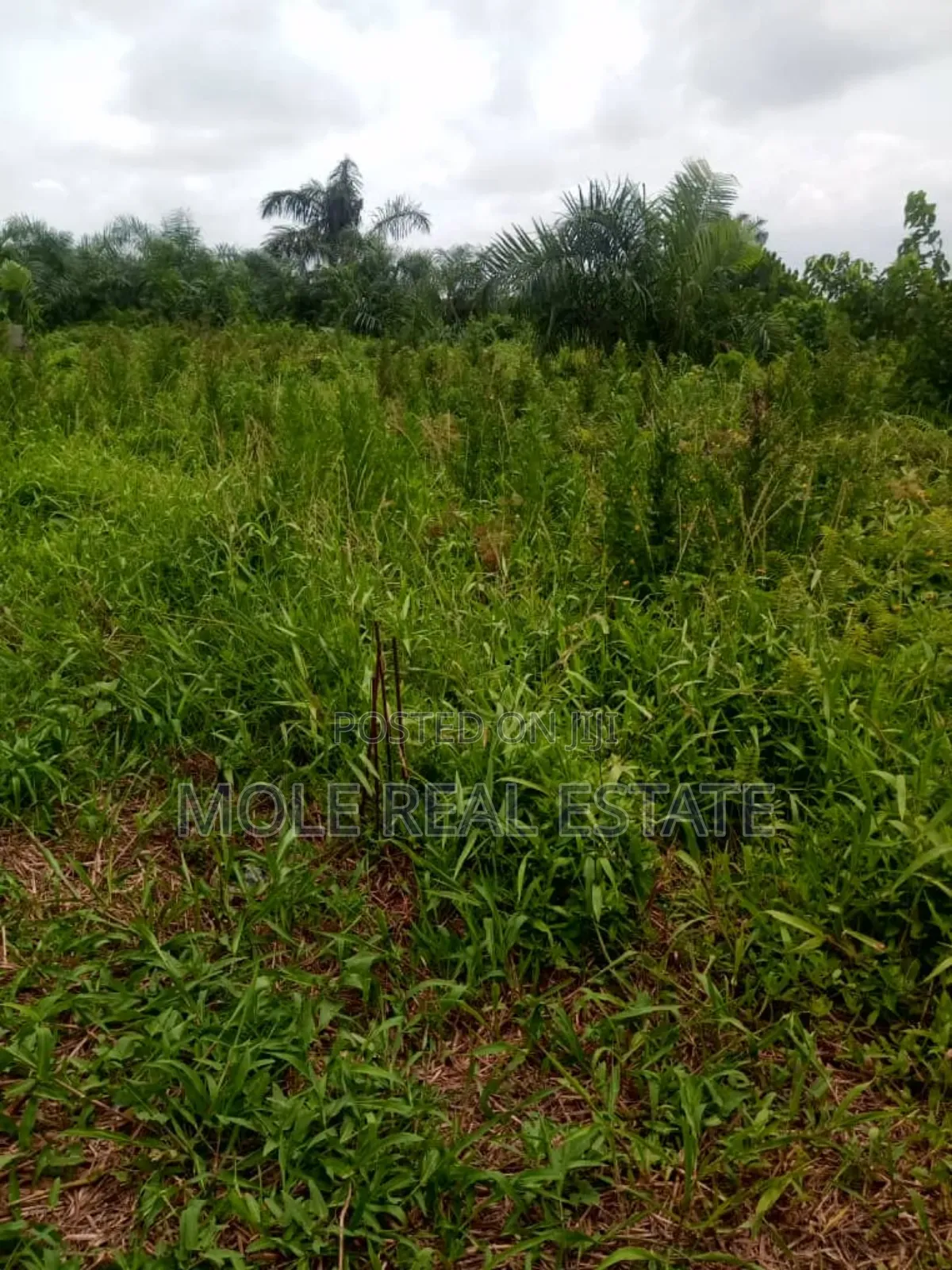 165sqm Ijegun Batist Bustop Festac Link New Rd