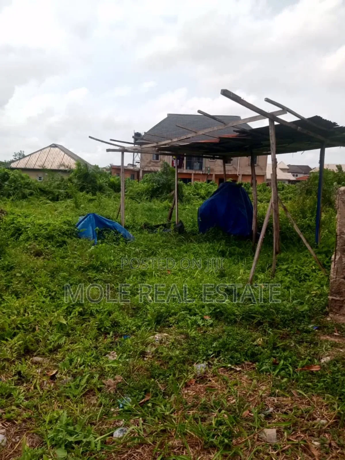 KLM of Farm Farm Land Now Selling at Ogun State