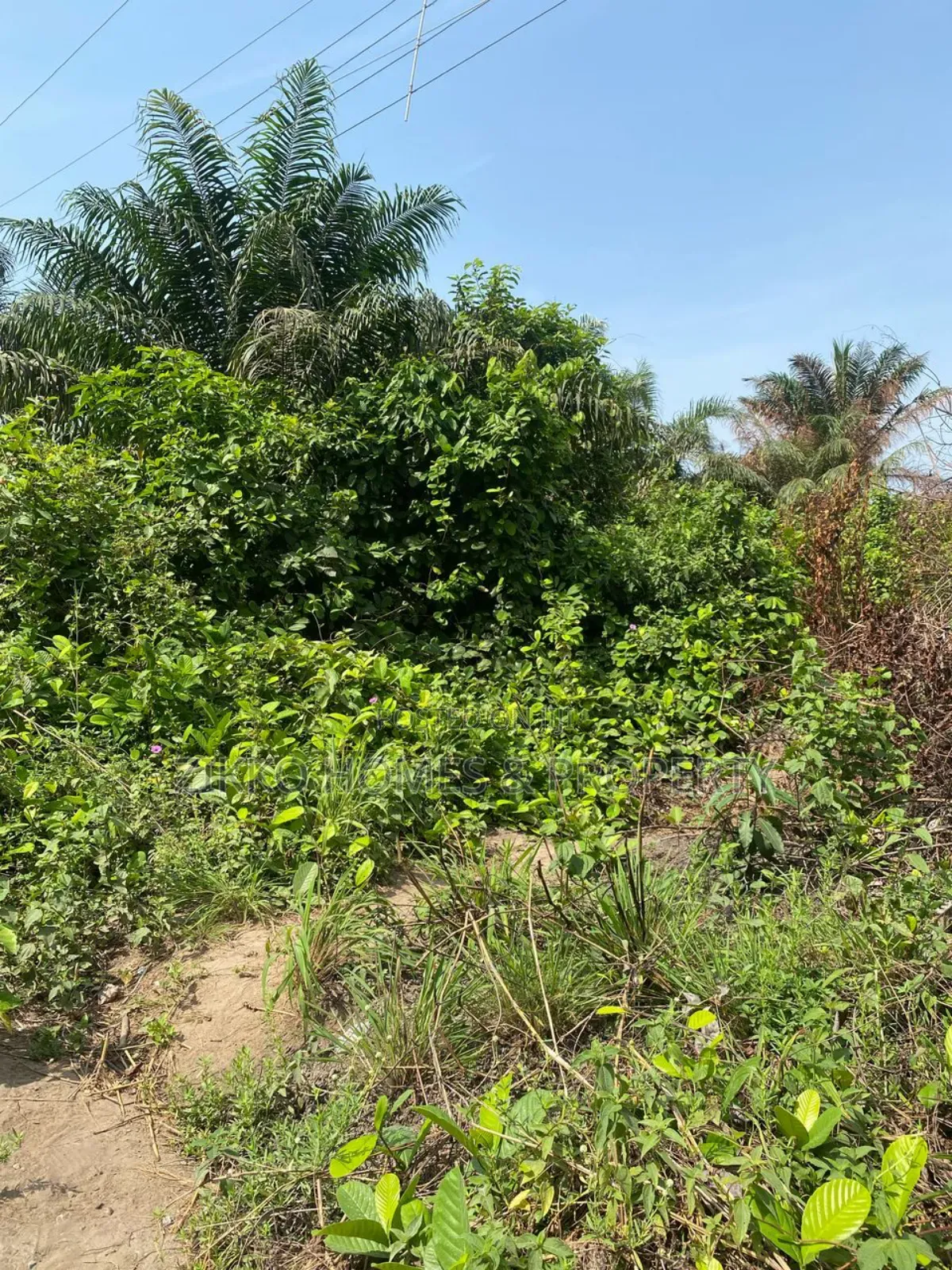 Land for Sale at Sangotedo