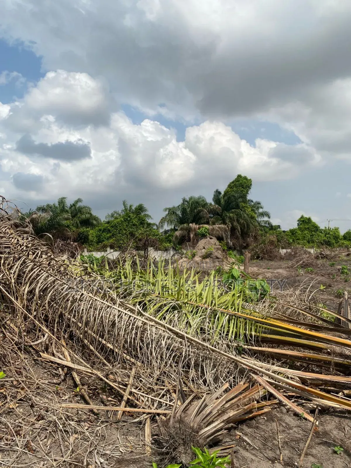Land for Sale at Sangotedo