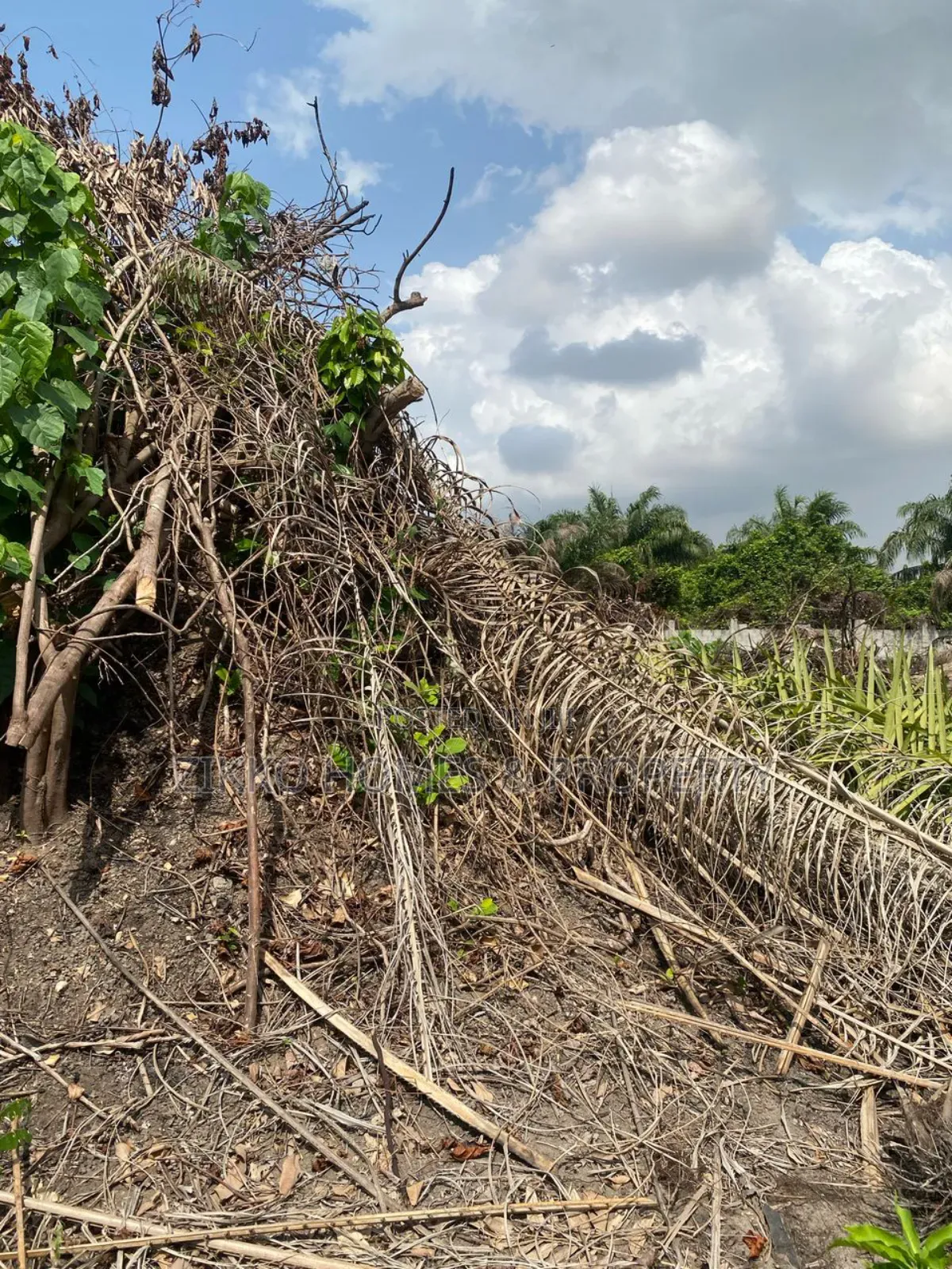 Land for Sale at Sangotedo