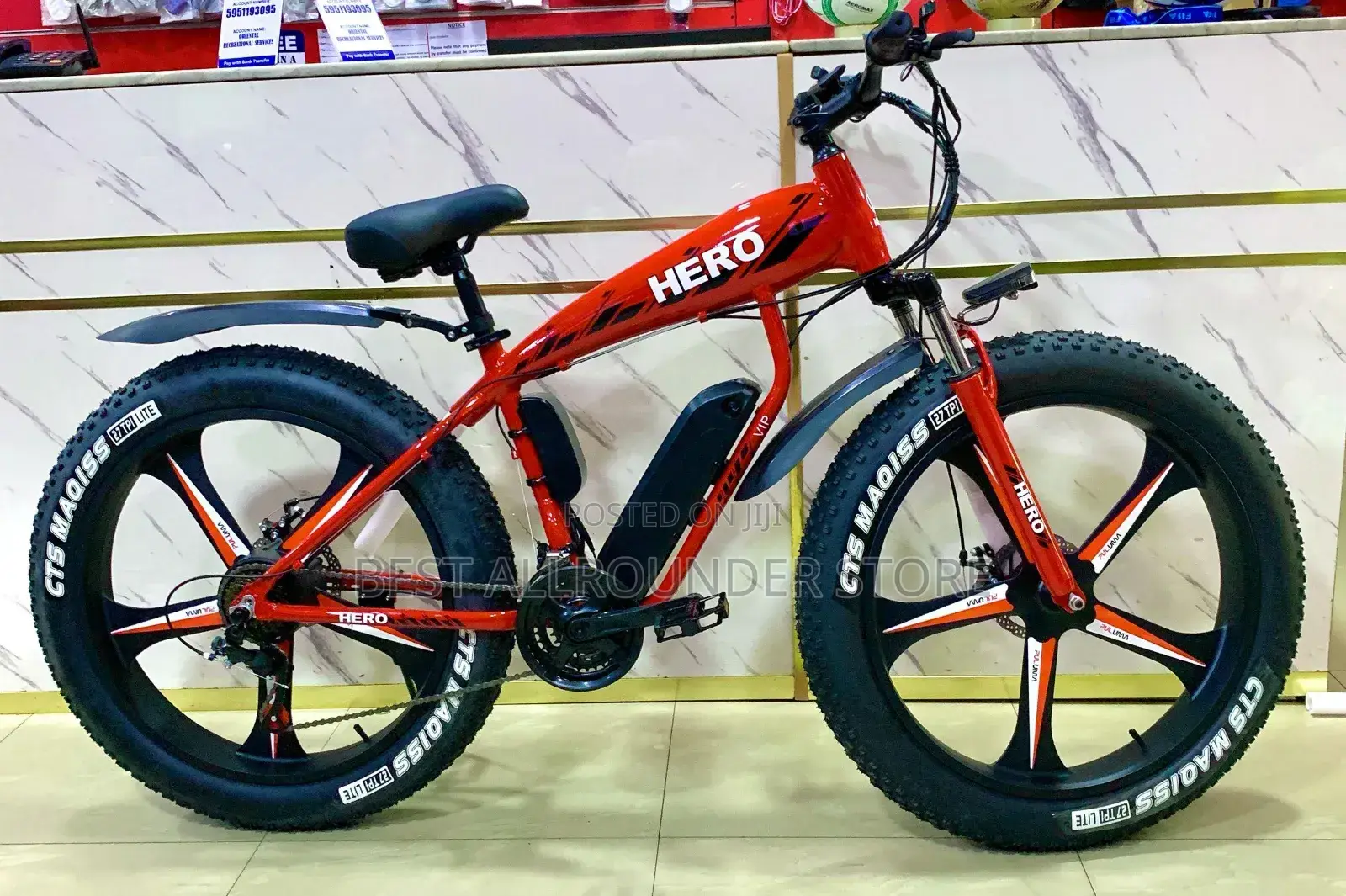 Big Tire Electric Bicycle