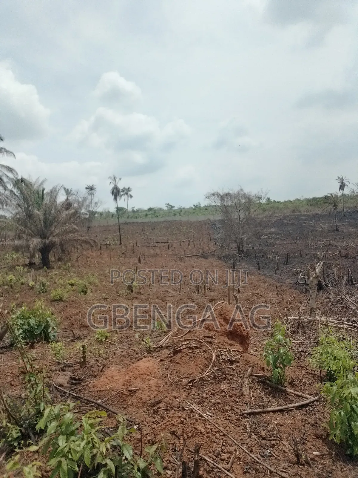 Plots of Land for Sale at Odunbaku Siun Ogun State